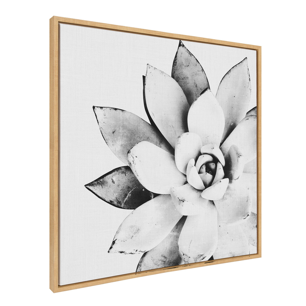 Sylvie Succulent Framed Canvas by Simon Te of Tai Prints
