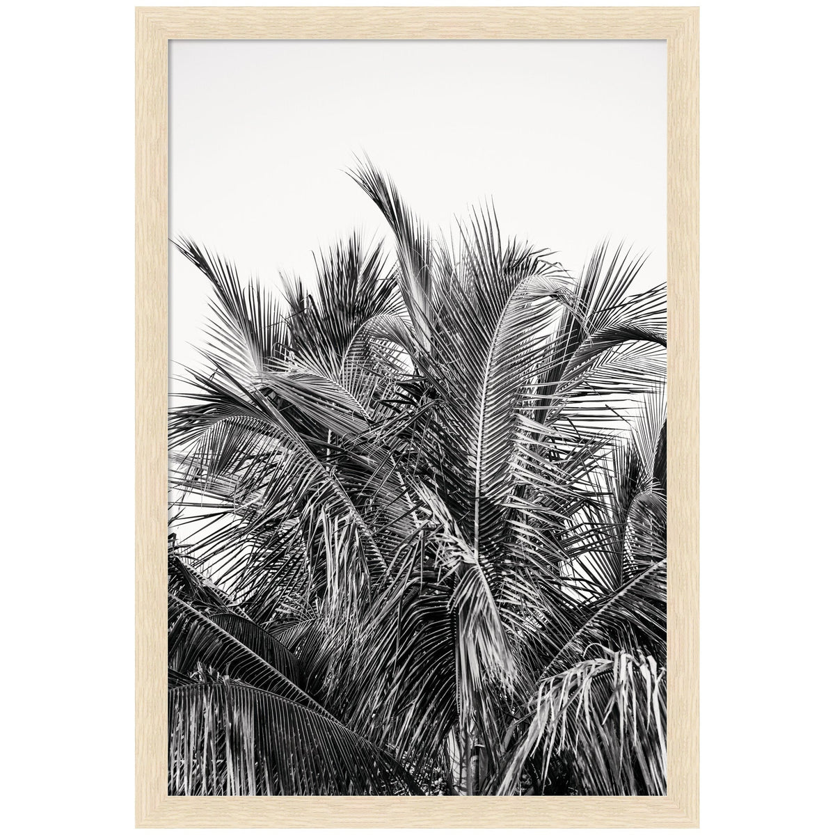 No 13 by Alicia Bock Framed Wall Art Print