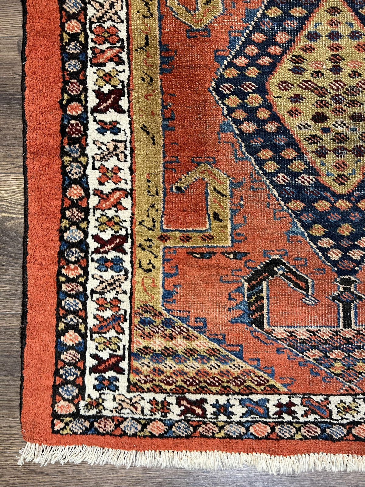 Rare Persian Tribal Runner Rug 3 x 11, Sarab Serab Persian Runner, Antique 1920s Collectible Geometric Medallions Oriental Wool Runner, Hand Knotted, Bright Orange-Red - Jewel Rugs, view 8