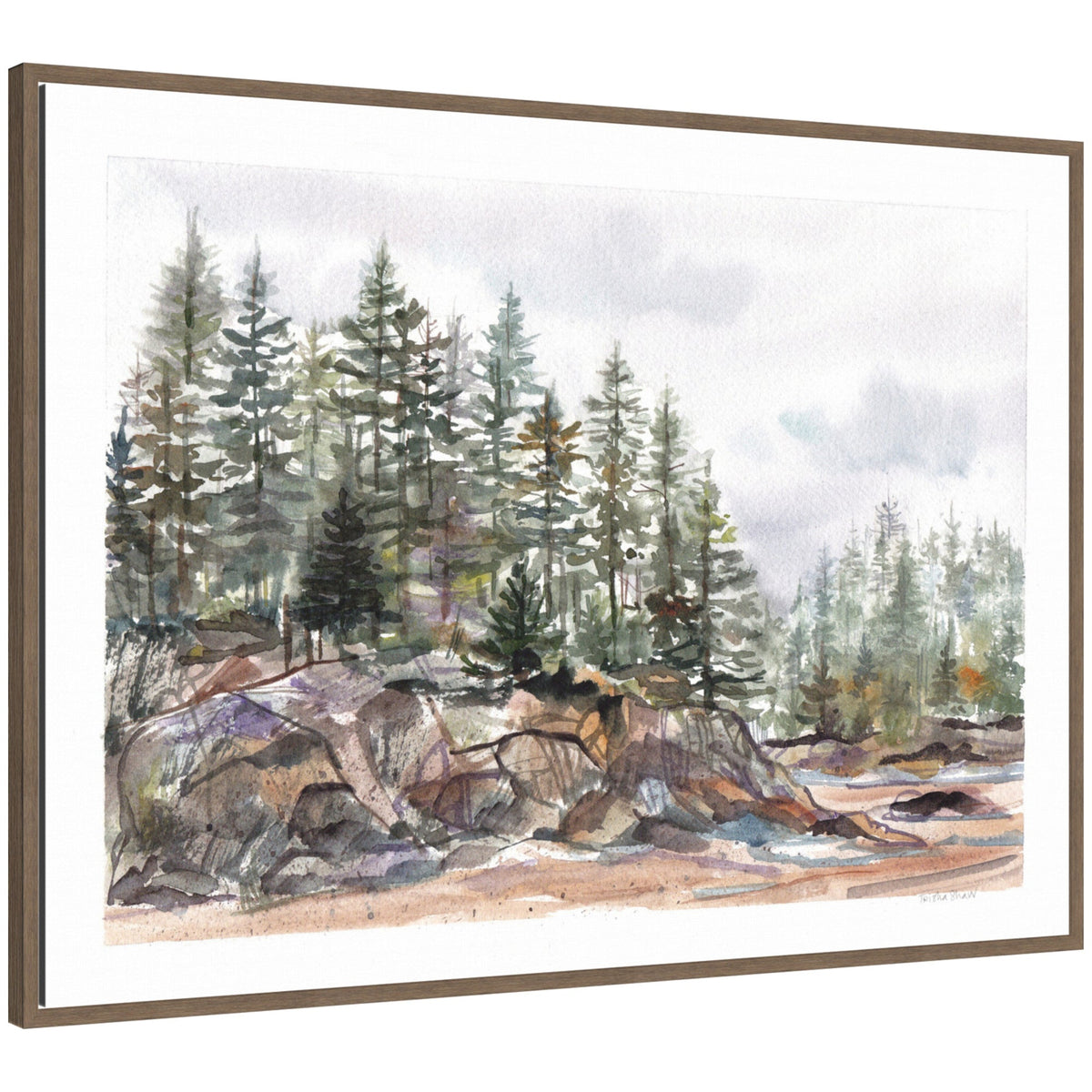 Sylvie Framed Canvas Pine Trees on Rocky Coast by Patricia Shaw