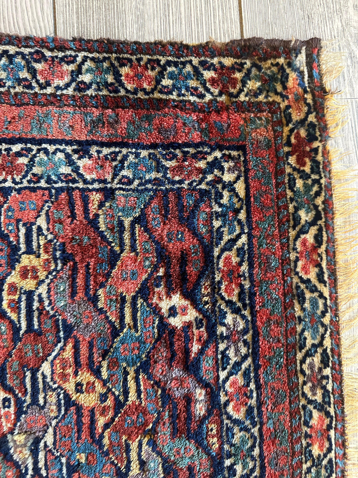 Antique Persian Kurdish Rug 2x2 | Navy, Red & Ivory | Hand-Knotted Wool - Rugistan, view 6