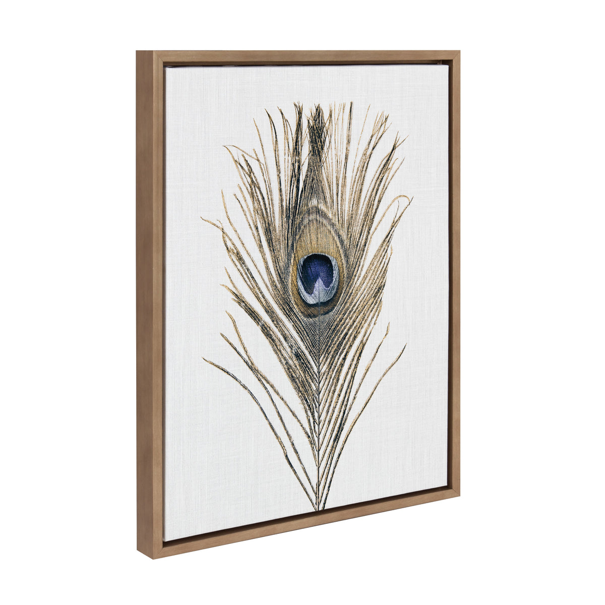 Sylvie Peacock Feather Framed Canvas by Simon Te of Tai Prints