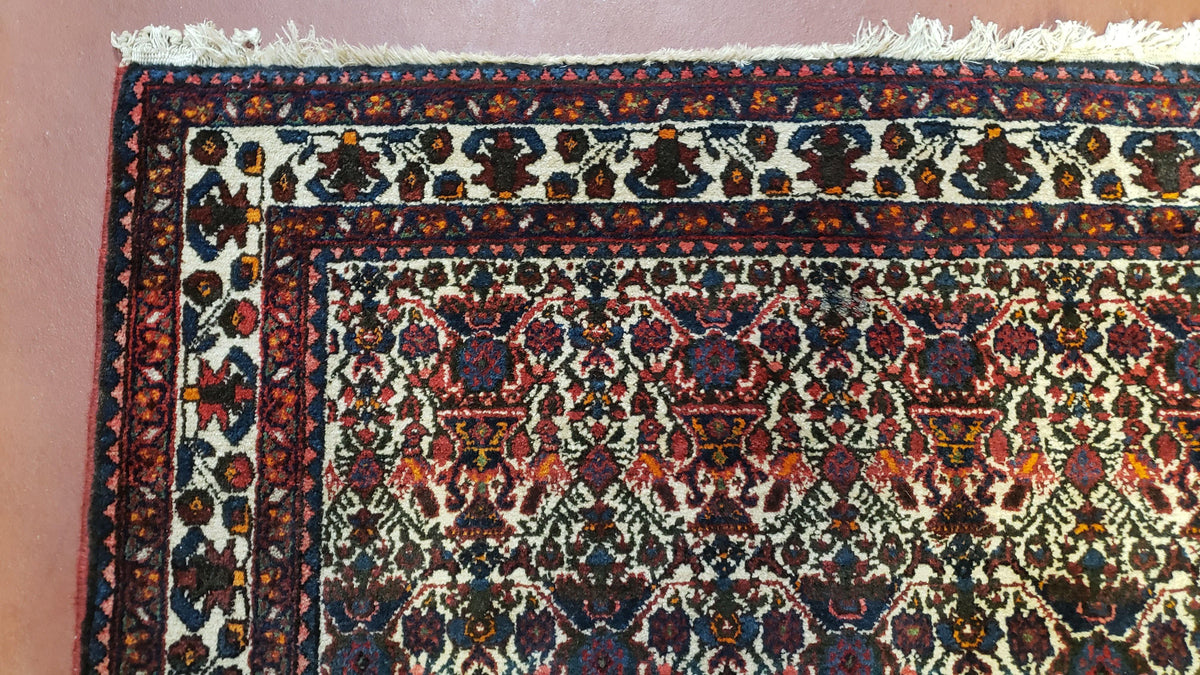 Persian Afshar Rug 3.6 x 5, Zili Sultan Pattern, Wool - Jewel Rugs, view 7