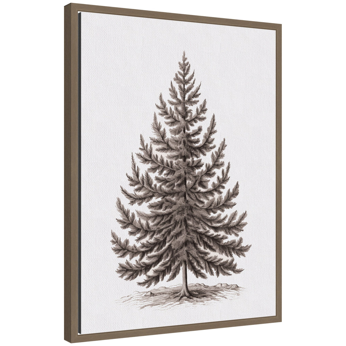Sylvie Framed Canvas Vintage Evergreen Fir Tree lllustration I by The Creative Bunch Studio
