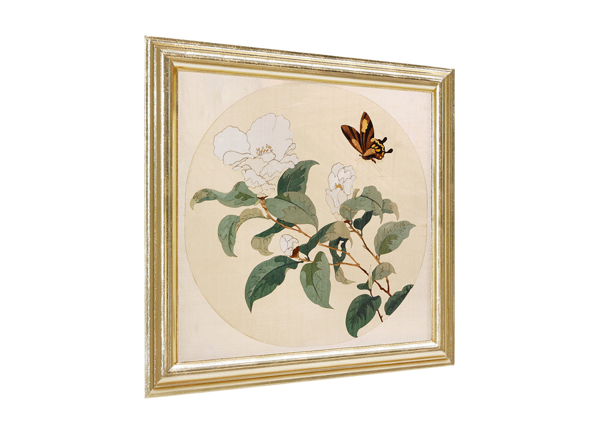 Camellia image 2