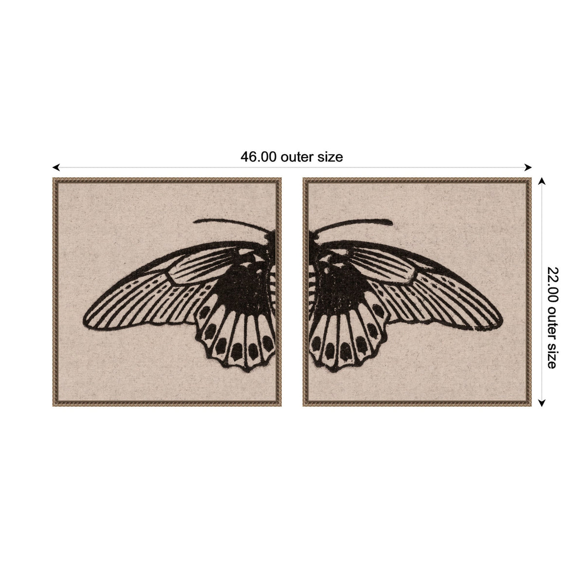Vlinder 1901 Julie de Graag No. 1 & No. 2 2 Piece Framed Canvas Wall Art Set by Nostalgia Prints