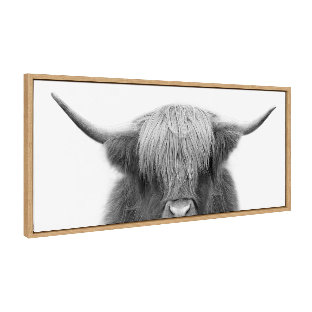 Sylvie Hey Dude Highland Cow Framed Canvas by The Creative Bunch Studio
