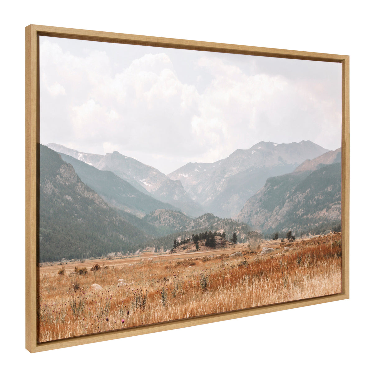Sylvie AA Wanderings Framed Canvas by Alicia Abla