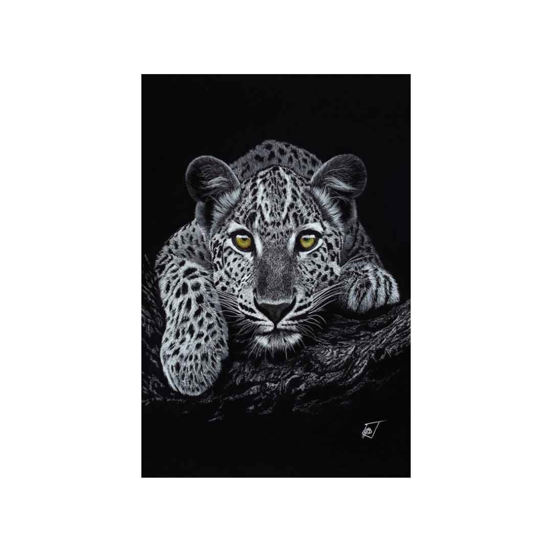Elegance In Contrast image 0