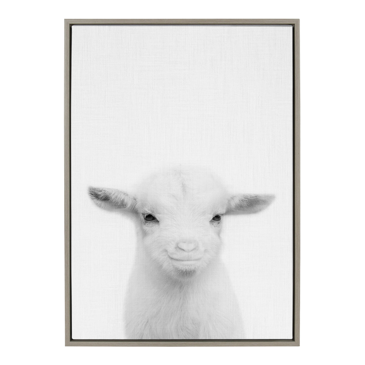 Sylvie Baby Goat Framed Canvas by Simon Te Tai