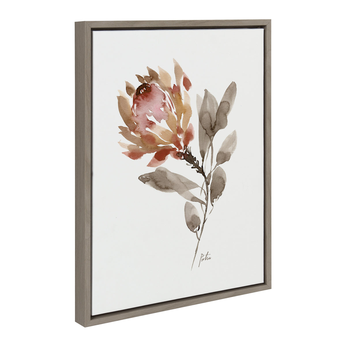 Sylvie Wild King Protea Framed Canvas by Sara Berrenson