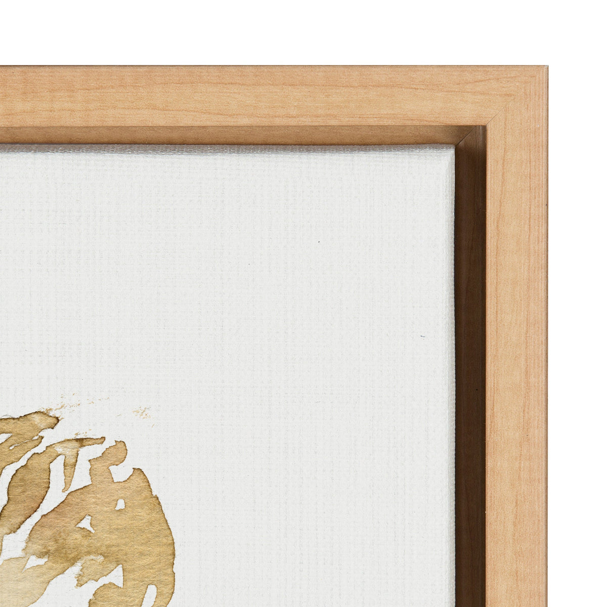 Sylvie Wild Banksia Framed Canvas by Sara Berrenson
