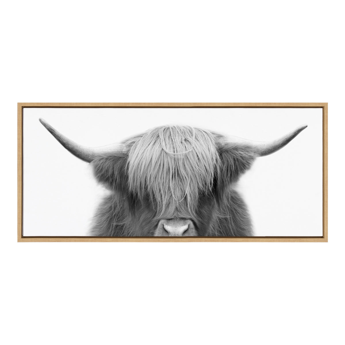 Sylvie Hey Dude Highland Cow Framed Canvas by The Creative Bunch Studio