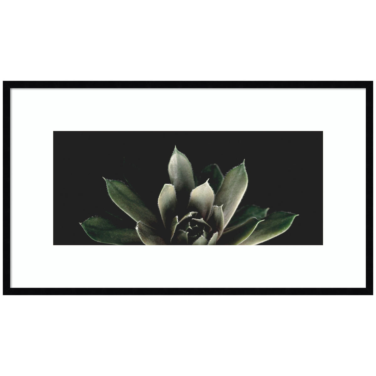 Salutation by Emiko and Mark Franzen F2 Images Framed Wall Art Print