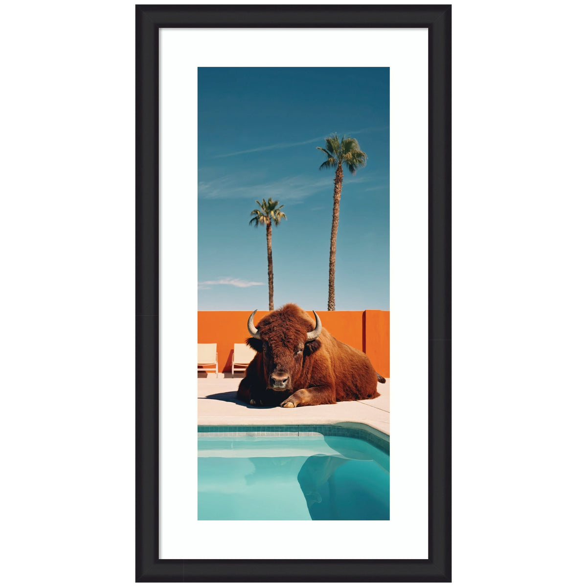 Framed Art Bison Chilling by the Pool in California by Michael Schauer