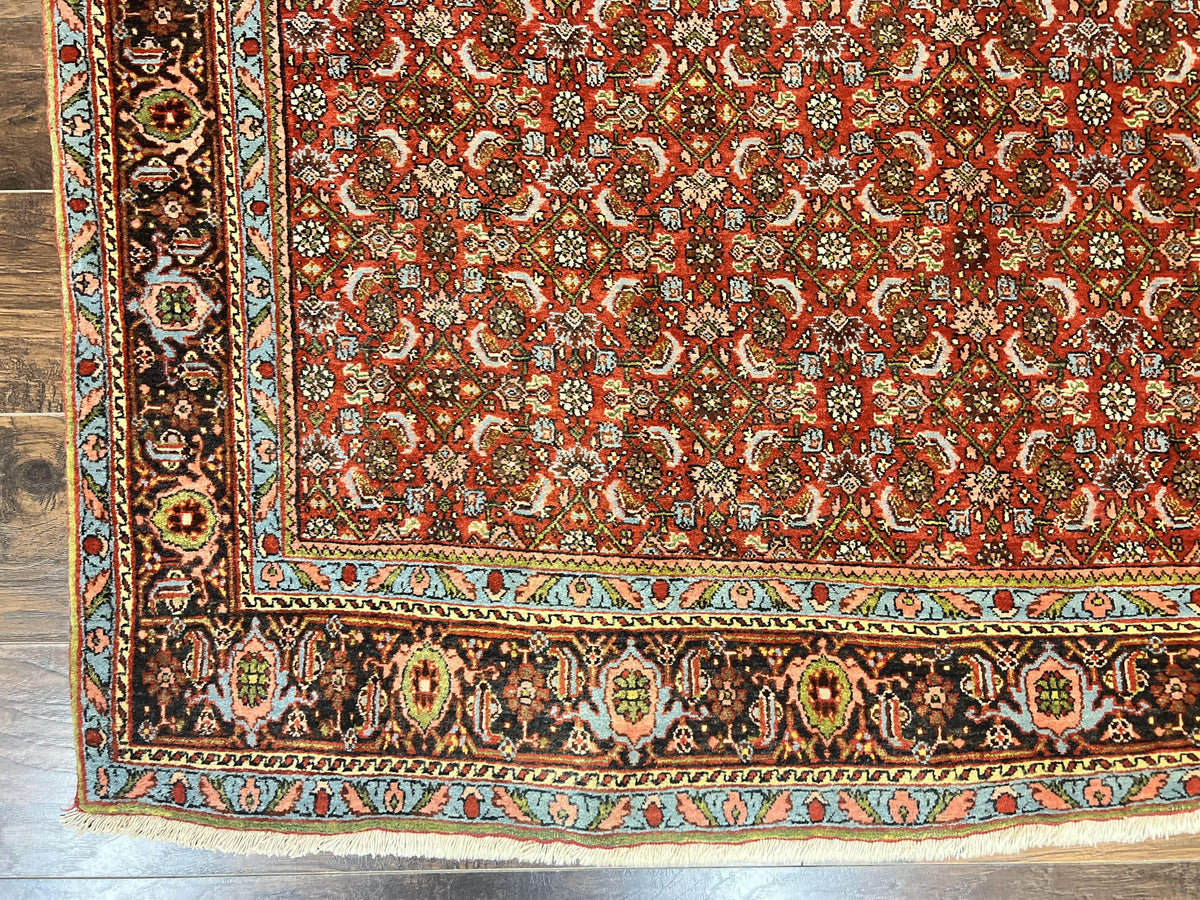 Antique Persian Bidjar Rug 5x7, Repeated Allover Herati Pattern, Red, Handmade Wool Carpet - Jewel Rugs, view 8