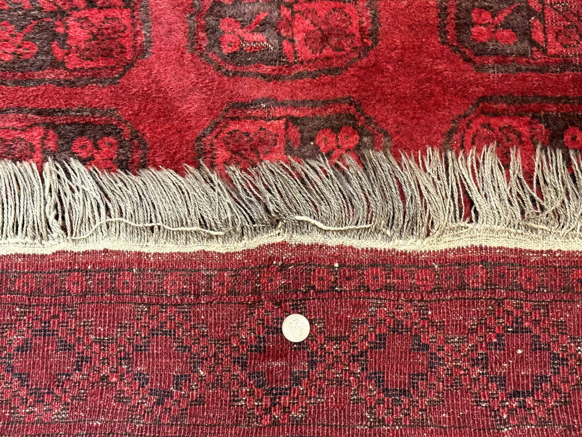 Afghan Turkoman Bokhara Bashir Rug 3x6, Red - Jewel Rugs, view 11