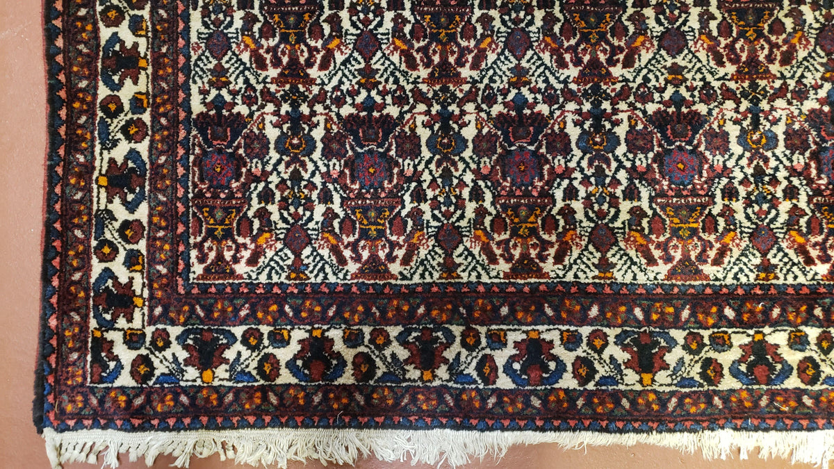 Persian Afshar Rug 3.6 x 5, Zili Sultan Pattern, Wool - Jewel Rugs, view 13