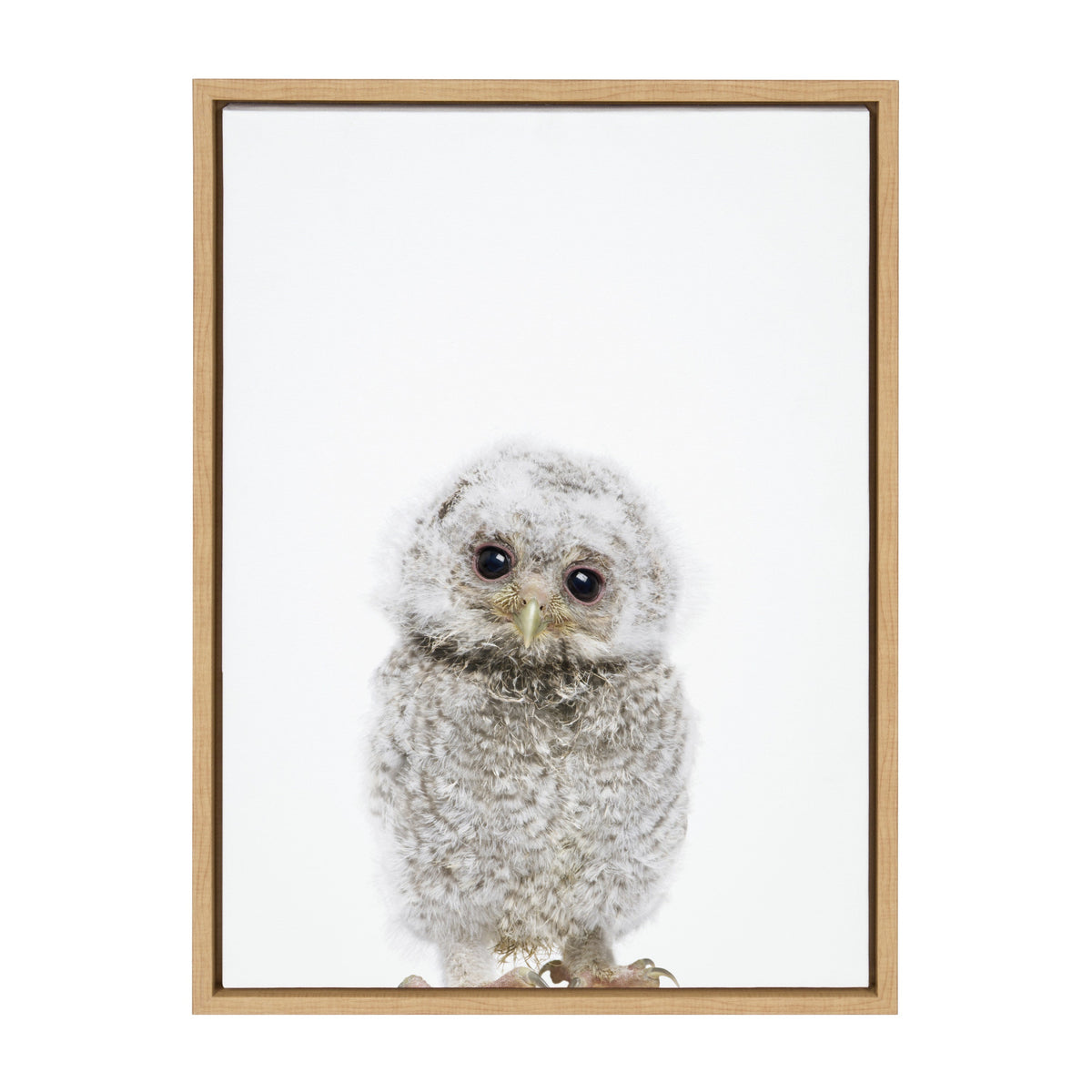 Sylvie Animal Studio Owl Framed Canvas by Amy Peterson Art Studio