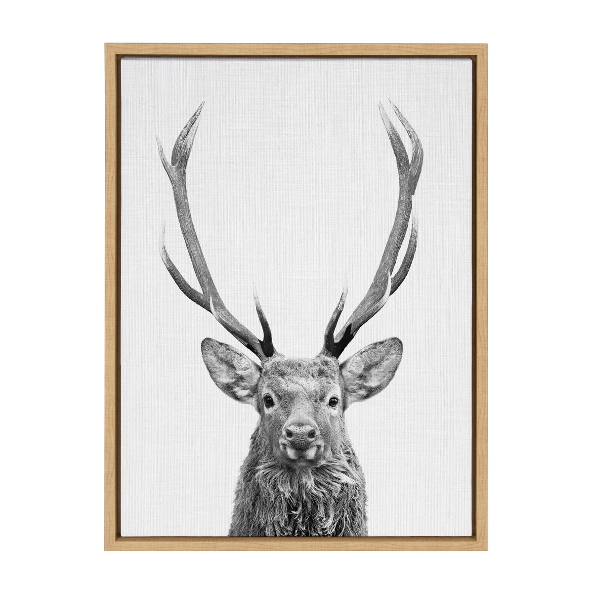 Sylvie The Red Deer BW Framed Canvas by Simon Te of Tai Prints