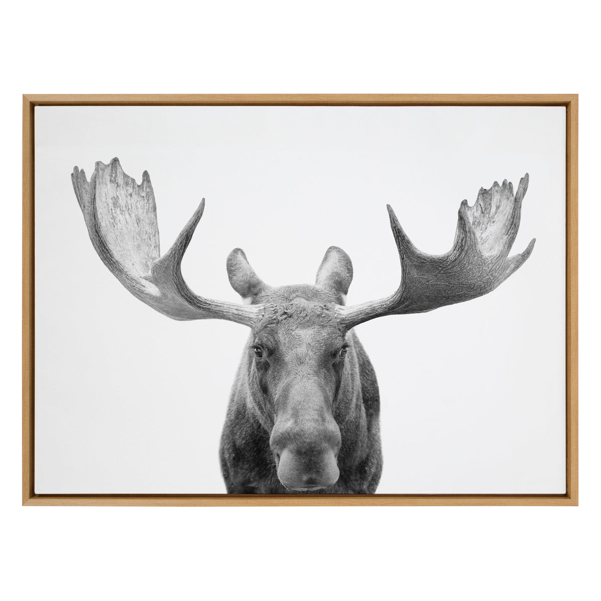 Sylvie Moose Black and White Framed Canvas by Amy Peterson Art Studio