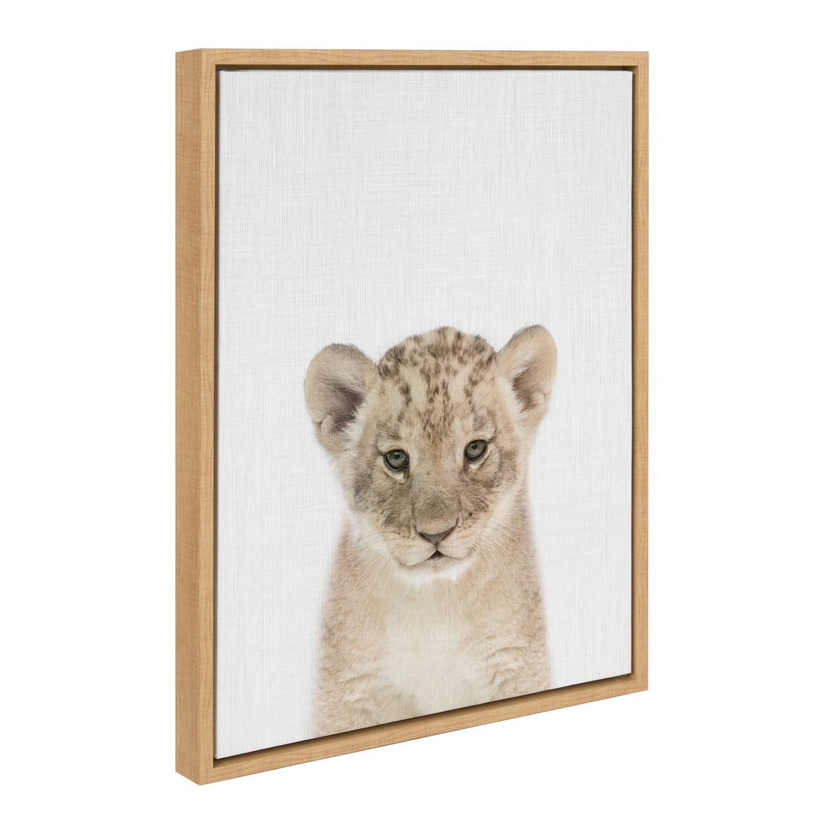 Sylvie Baby Lion Color Framed Canvas by Simon Te of Tai Prints