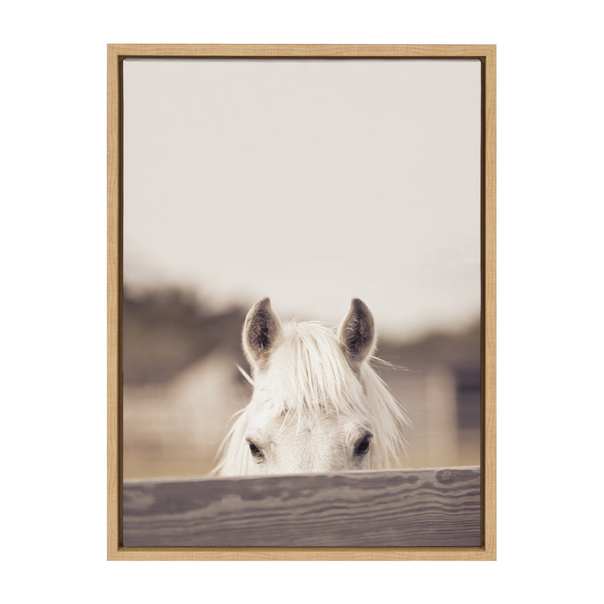 Sylvie Equine Framed Canvas by Robert Cadloff of Bomobob