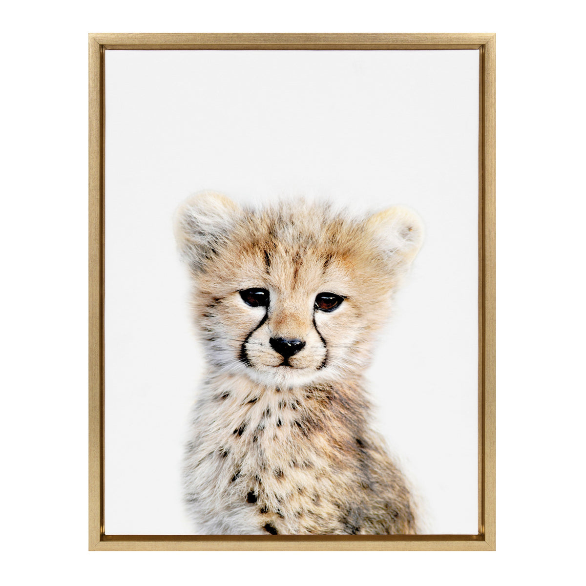 Sylvie Cheetah Framed Canvas by Amy Peterson Art Studio