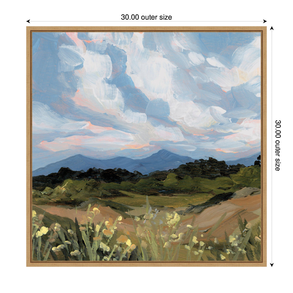 Garden of Gods by Emily Kenney Framed Canvas Wall Art Print