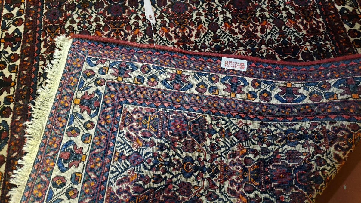 Persian Afshar Rug 3.6 x 5, Zili Sultan Pattern, Wool - Jewel Rugs, view 11