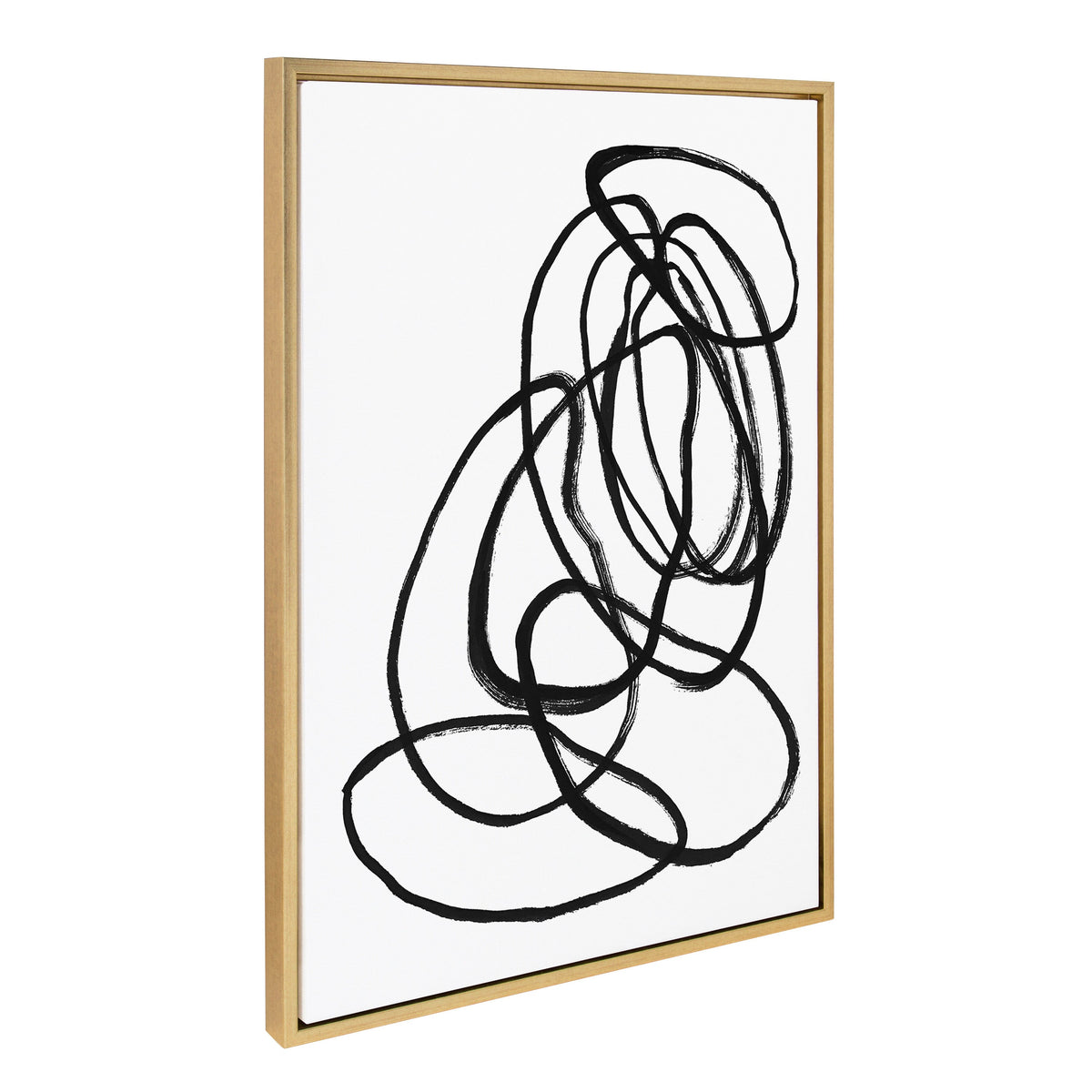 Sylvie Ring of Light 2 Framed Canvas by Nikki Chu