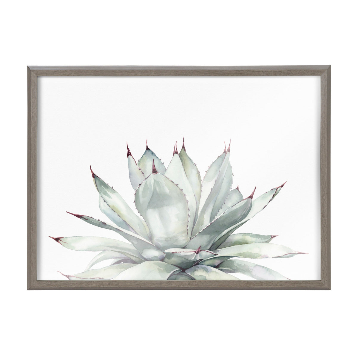Blake Parrys Agave Framed Printed Glass by Emily Marie Watercolors