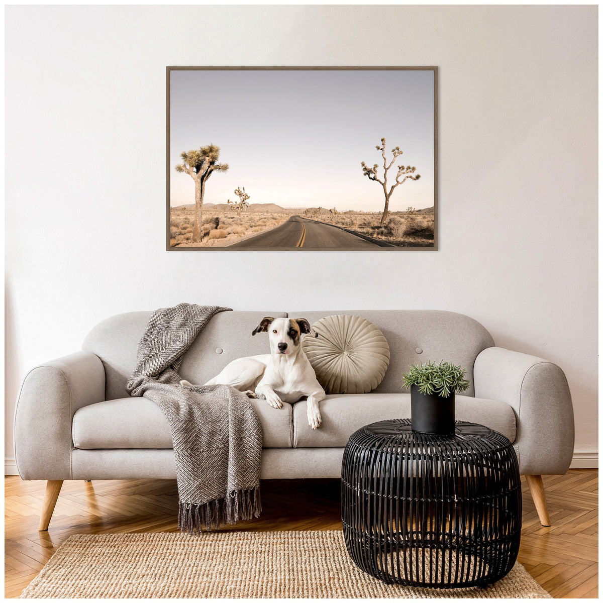 Driving Joshua Tree No. 3 by Alicia Bock Framed Canvas Wall Art Print