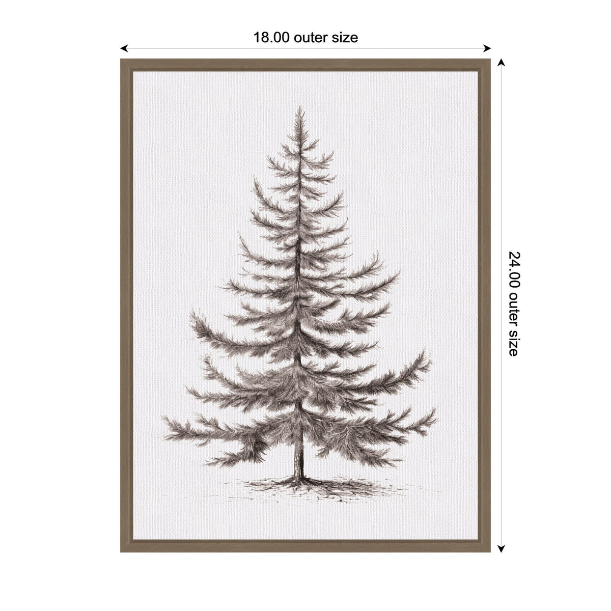 Sylvie Framed Canvas Vintage Evergreen Fir Tree lllustration II by The Creative Bunch Studio