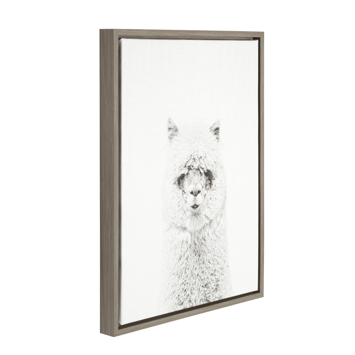 Sylvie Hairy Alpaca Framed Canvas by Simon Te of Tai Prints