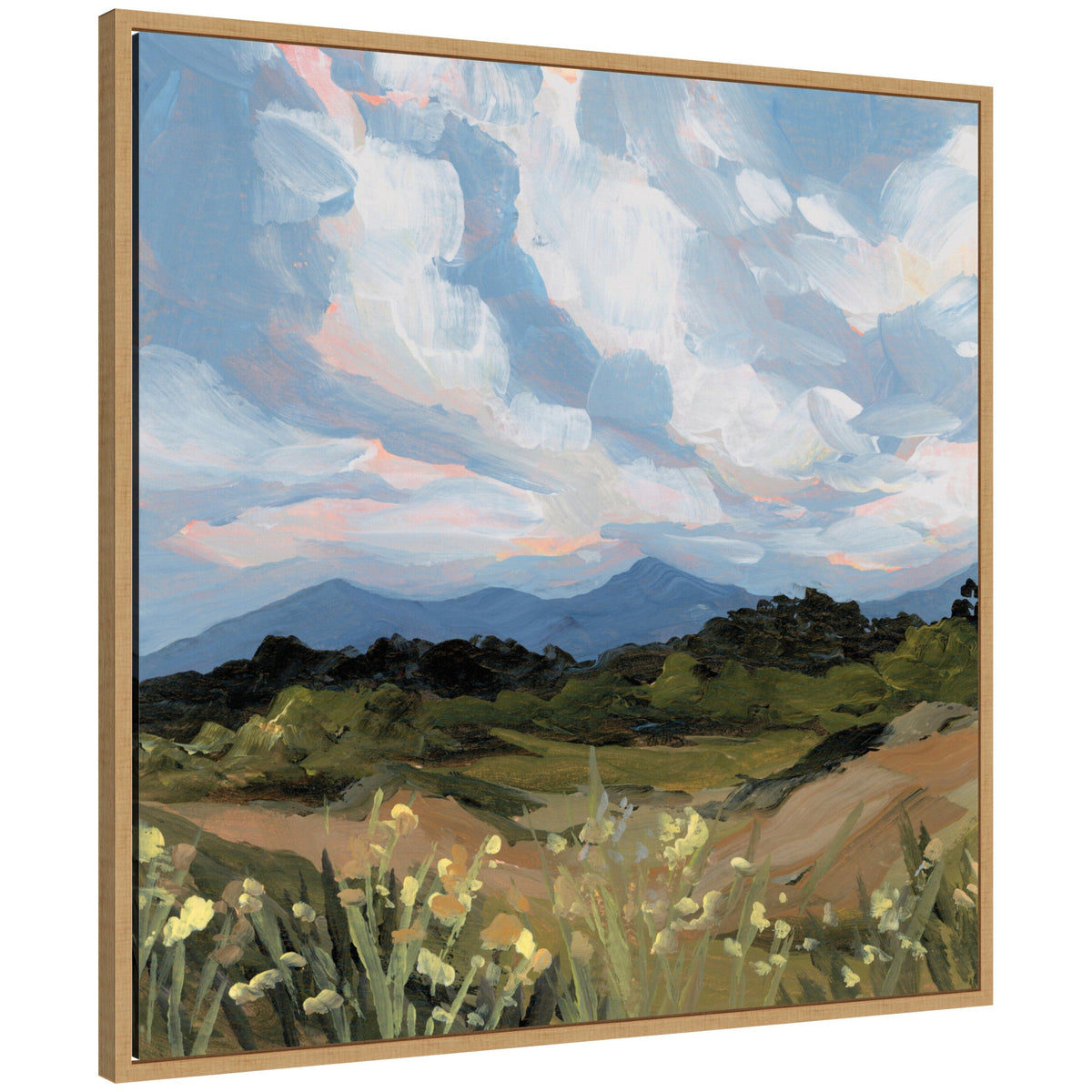 Garden of Gods by Emily Kenney Framed Canvas Wall Art Print