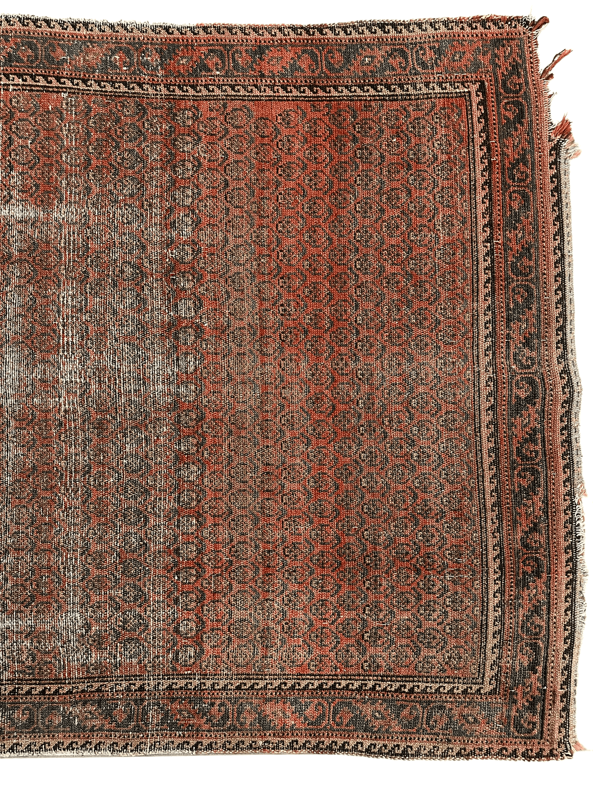 Antique Persian Rug 4x5 | Rust, Brown & Pink | Hand-Knotted Wool - Rugistan, view 3
