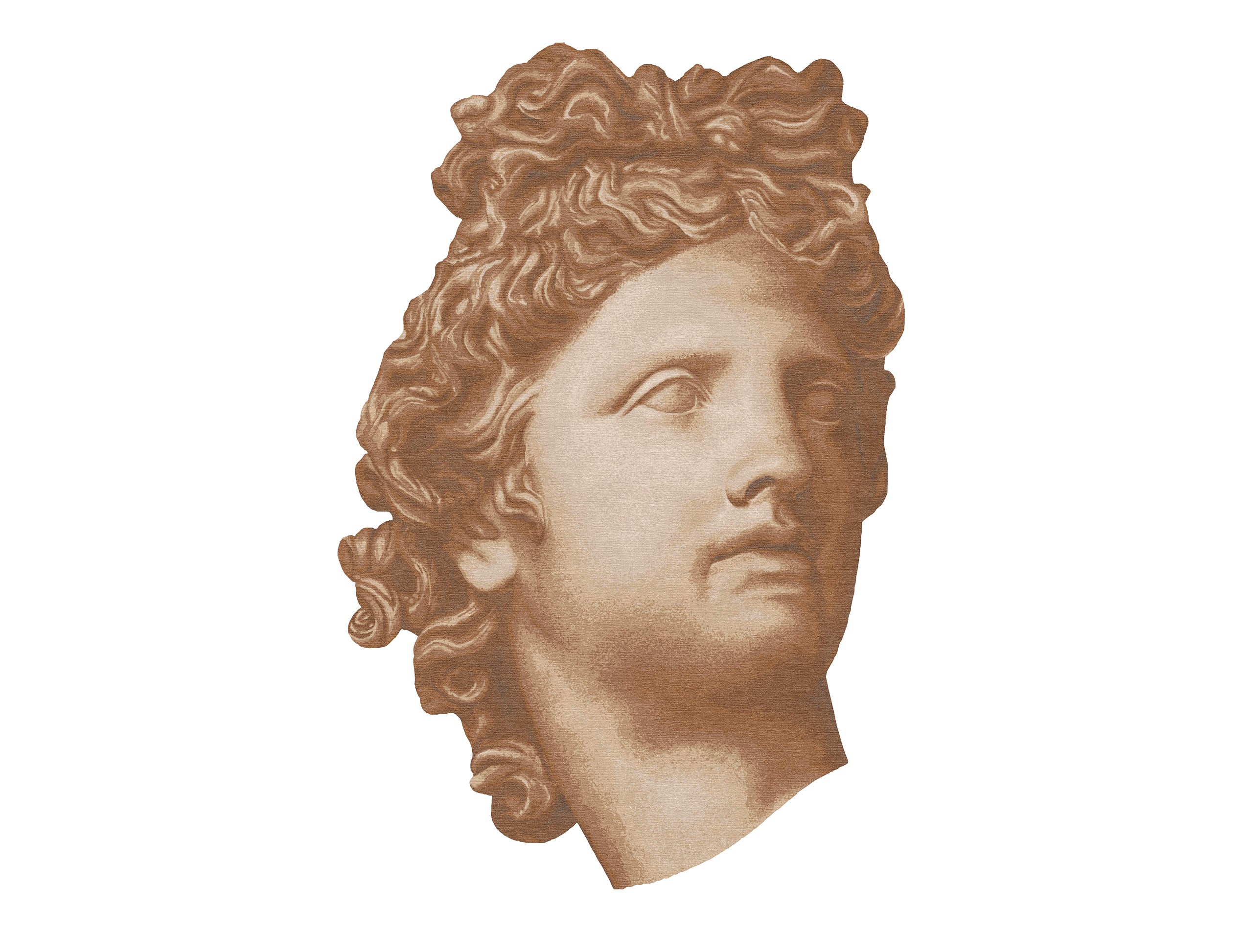 Apollo image