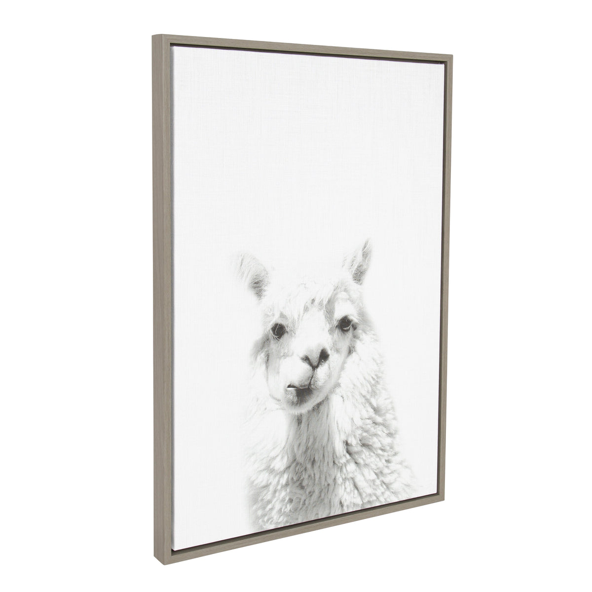 Sylvie Alpaca Framed Canvas by Simon Te of Tai Prints