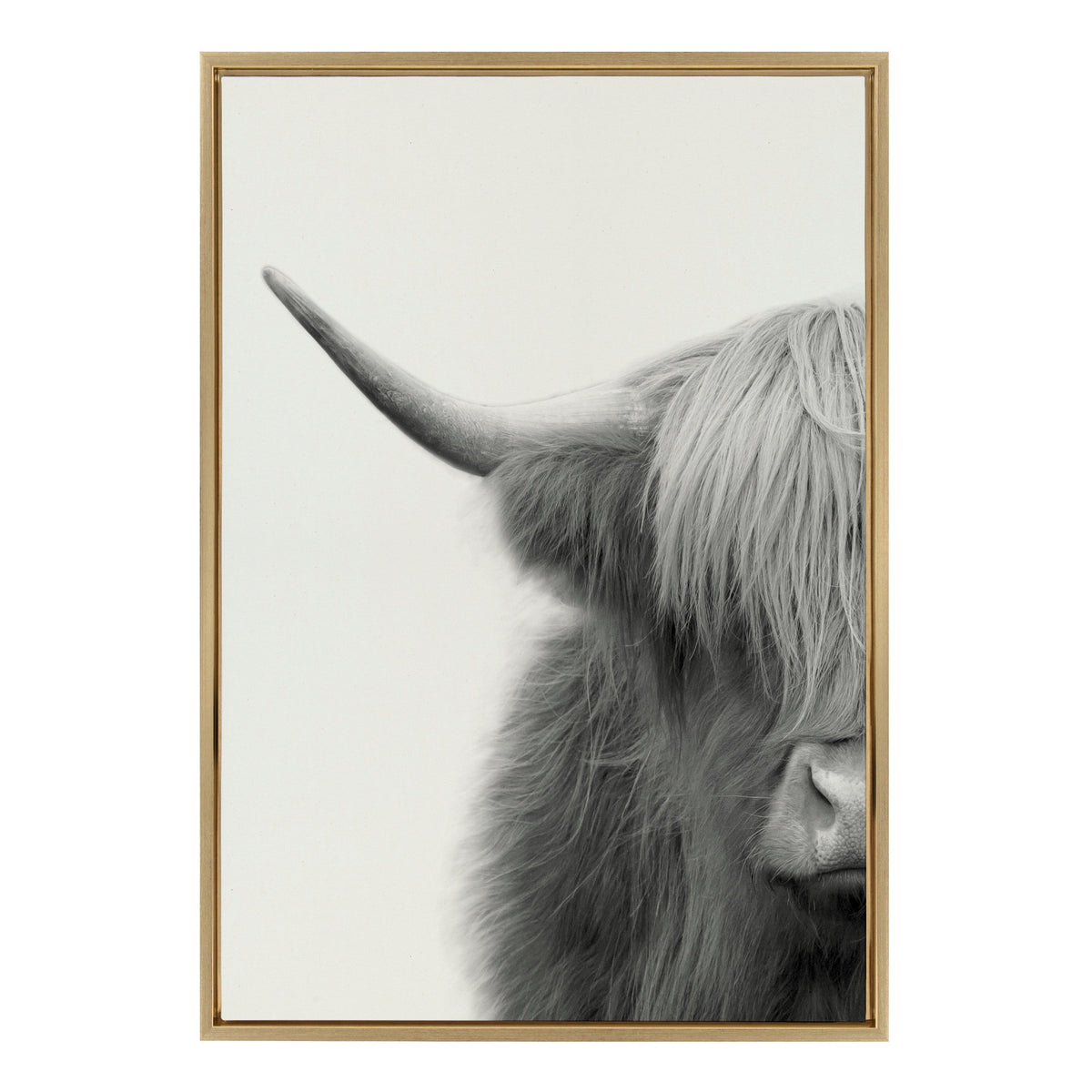 Sylvie Hey Dude Highland Cow Crop Framed Canvas by The Creative Bunch Studio