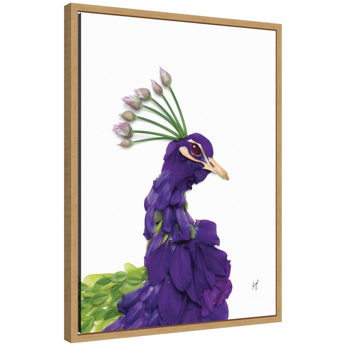 Peacock by Madeline Jeppesen Framed Canvas Wall Art Print