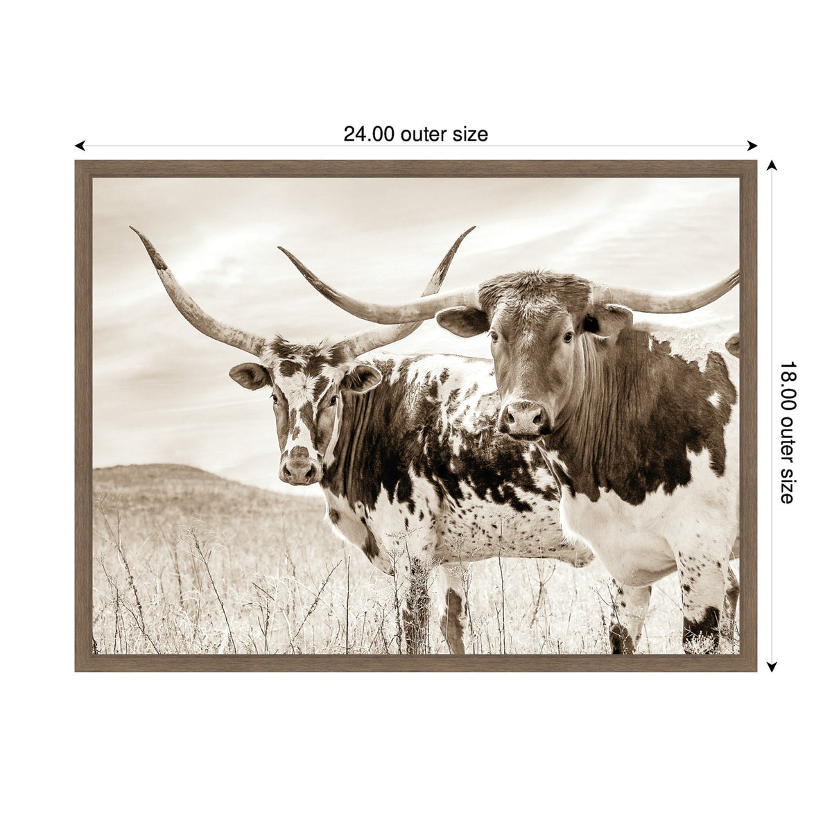 Sepia Texas Longhorn Cattle in Pasture by The Creative Bunch Studio Framed Canvas Wall Art Print