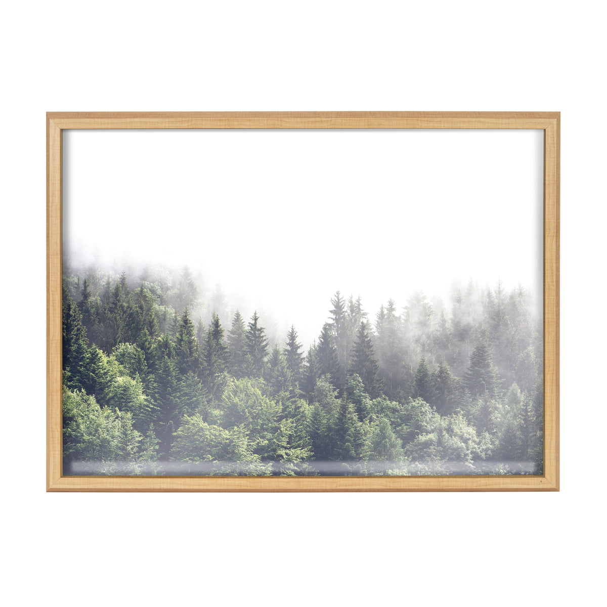 Blake Lush Green Forest on a Foggy Day Framed Printed Glass by The Creative Bunch Studio