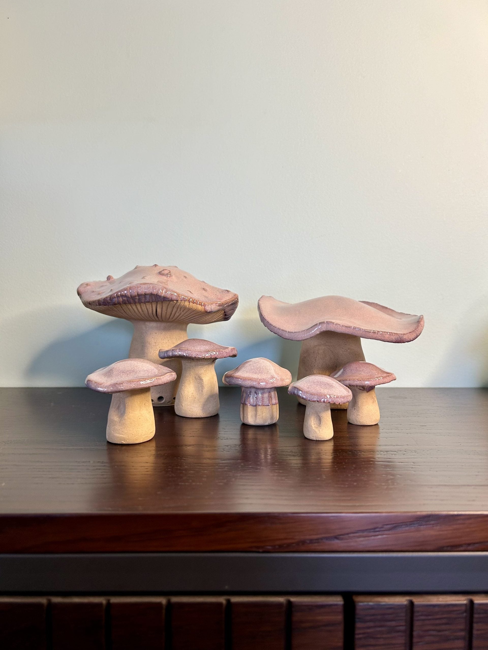 Wild Mushrooms image 1