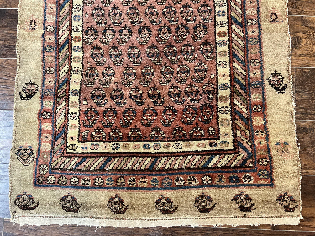 Antique Persian Sarab Runner Rug 3x11, Wool Camel Hair, Tribal Carpet for Hallway 3 x 11, Antique 1920s Rug, Handmade - Jewel Rugs, view 4