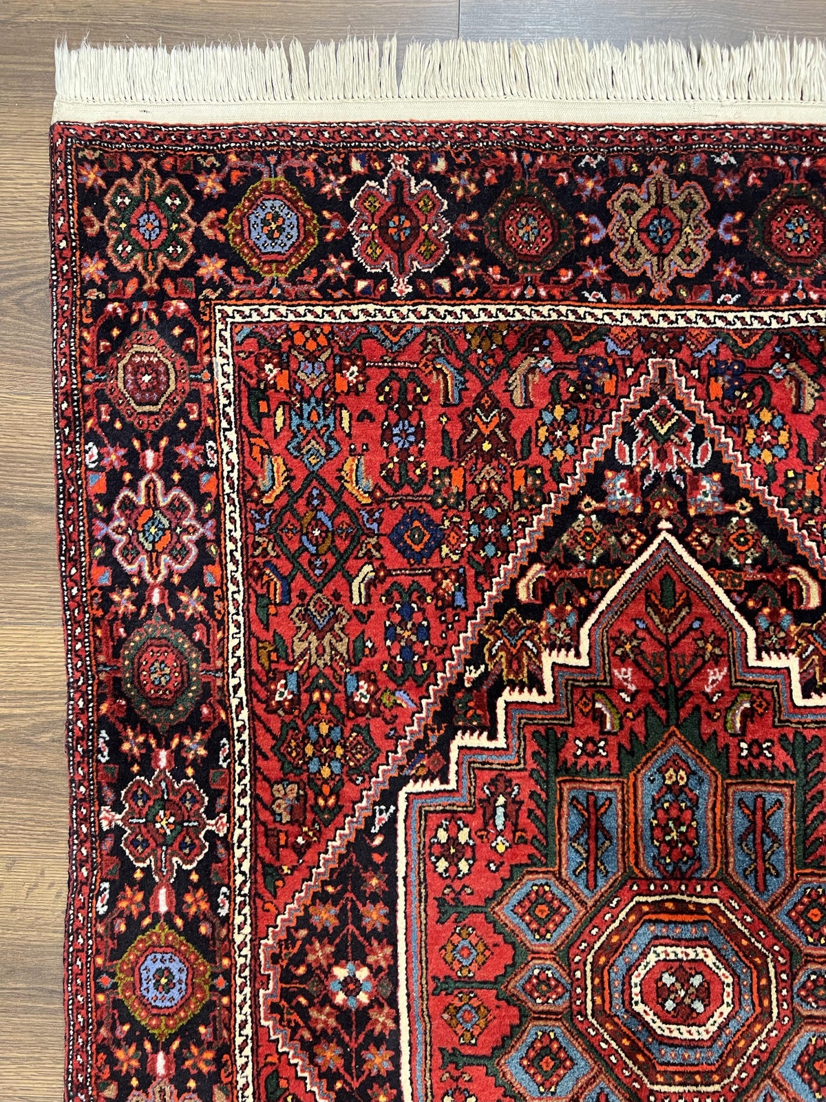 Fine Persian Bidjar Rug 3x5 ft, Ruby Red and Black, Geometric Medallion, Hand Knotted Semi Antique Oriental Bijar Carpet, Wool Area Rug, Tribal Rug - Jewel Rugs, view 7