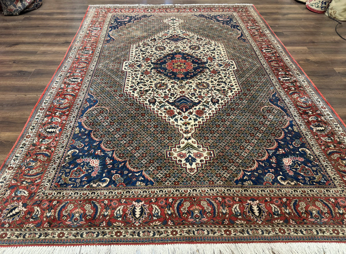 Persian Rug 7x10, Bakhtiari Saman Rug, Unique Design and Colors, Ivory Red Blue, Large Tribal Rug - Jewel Rugs, view 2