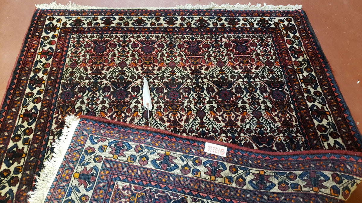 Persian Afshar Rug 3.6 x 5, Zili Sultan Pattern, Wool - Jewel Rugs, view 12