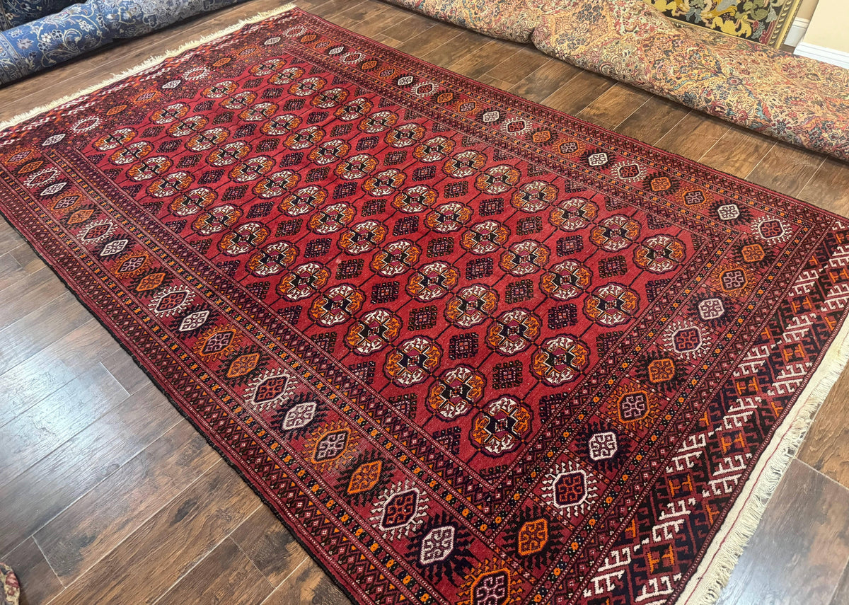 Antique Persian Turkoman Bokhara Rug 7x11, Tribal Rug, Red - Jewel Rugs, view 13