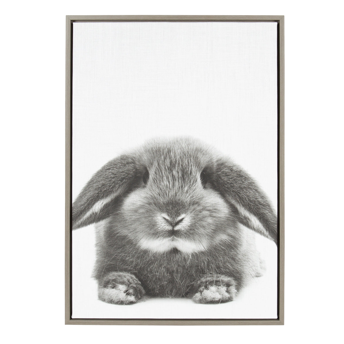 Sylvie Rabbit Framed Canvas by Simon Te of Tai Prints